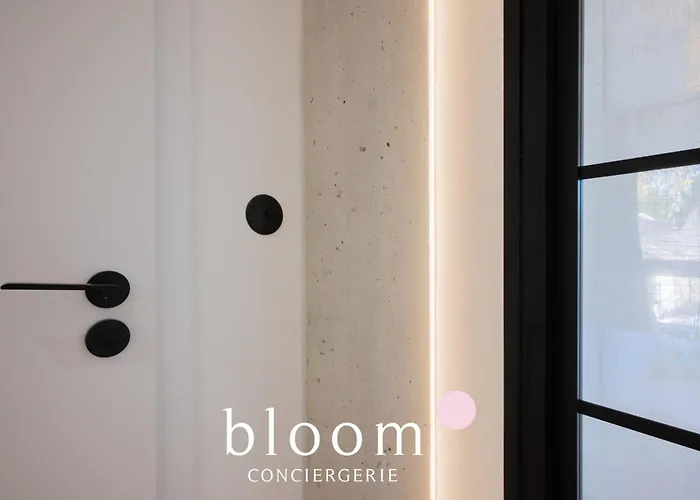 Le Duplex De Standing De Foch * Nancy